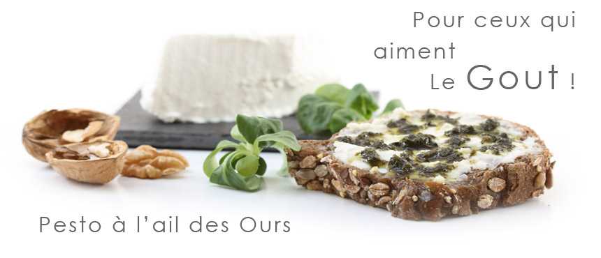 Pesto ail des Ours